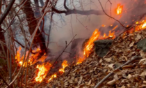 Piemonte, dalla Giunta regionale stanziati 5 milioni di euro per prevenire gli incendi