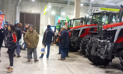 E' tutto pronto a Caresanablot per la 46ª Fiera in Campo