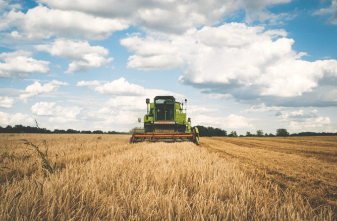 Dalla Regione Piemonte oltre 11 milioni e mezzo di euro per 299 aziende agricole under 41