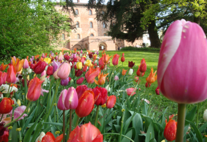 Scoppia la Primavera e fioriscono gli itinerari nei giardini delle dimore del Nord Ovest