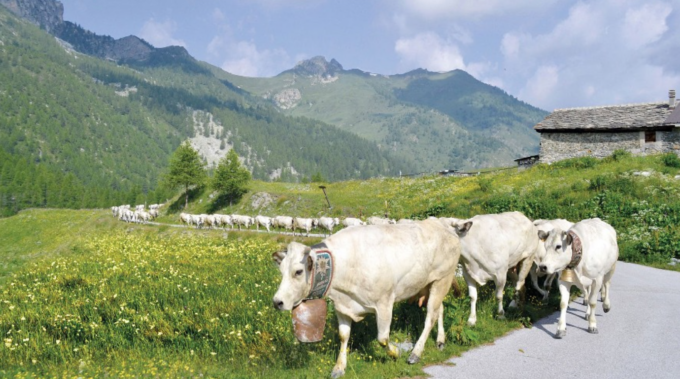 Agricoltura di montagna in Lombardia fondi per 17 milioni di euro