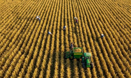 Per pratiche sostenibili in agricoltura la Regione Lombardia ha stanziato oltre 38 milioni di euro