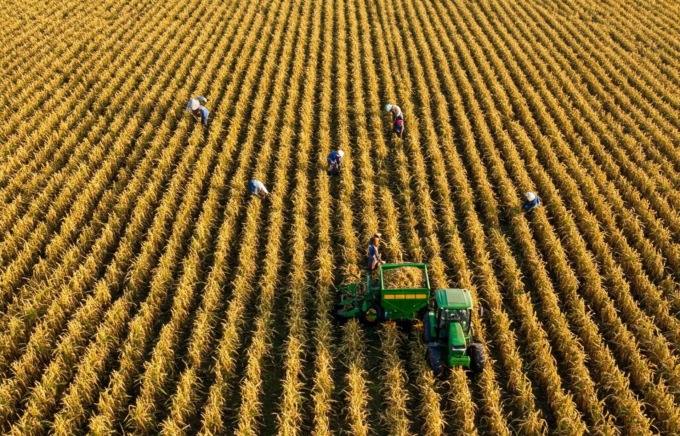 Per pratiche sostenibili in agricoltura la Regione Lombardia ha stanziato oltre 38 milioni di euro