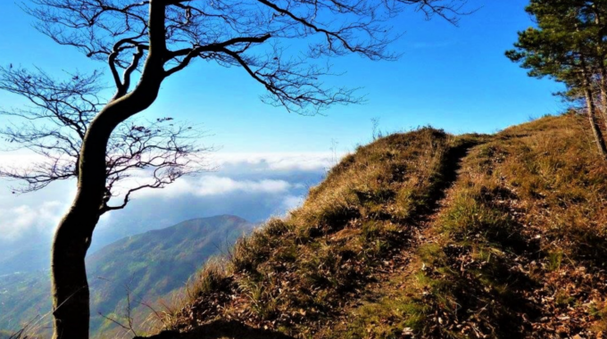 Montagna e mare le caratteristiche dei cammini in Liguria