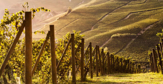 Produzione vinicola del Nord Ovest protagonista a Vinitaly