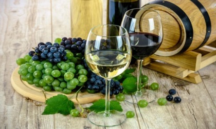 Wine Travel Awards, a Londra il Piemonte vince sulla California e il Sudafrica