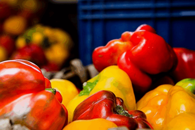 A Carmagnola è scoppiata la 76ª edizione della Fiera del Peperone