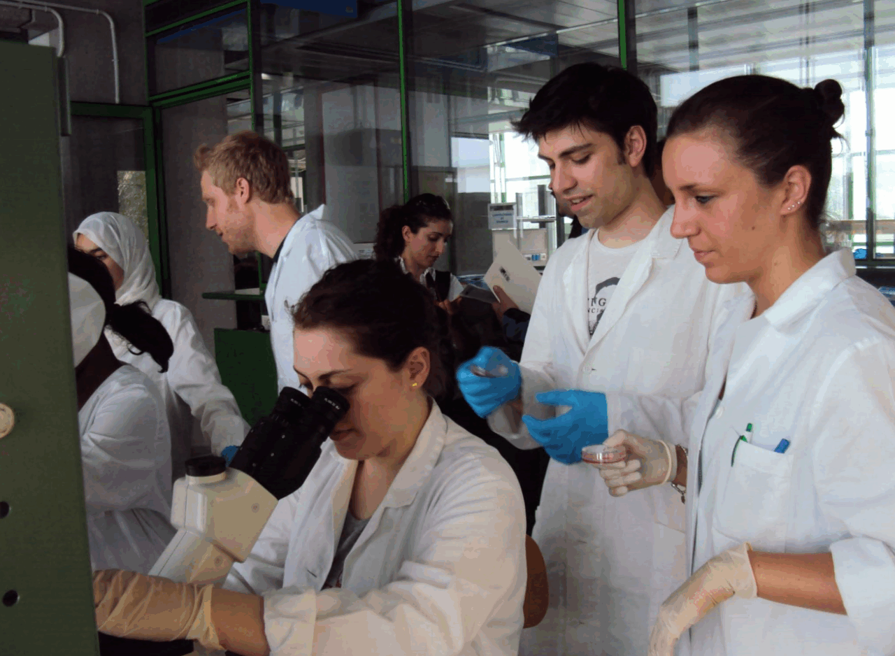 Investimenti per 100 milioni e 27 progetti per scienza e sviluppo in Piemonte