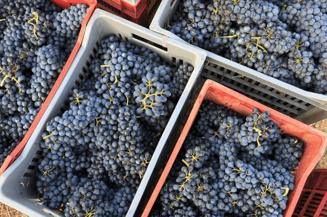 Firmato in Piemonte un protocollo per prevenire lo sfruttamento lavorativo