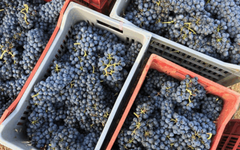Firmato in Piemonte un protocollo per prevenire lo sfruttamento lavorativo