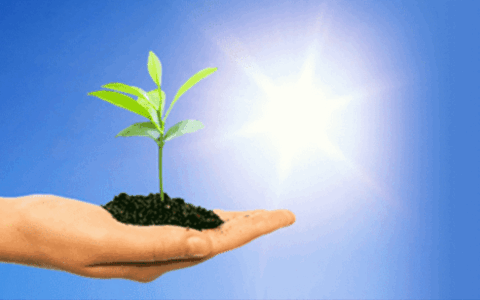 La Lombardia guida la corsa alle energie rinnovabili