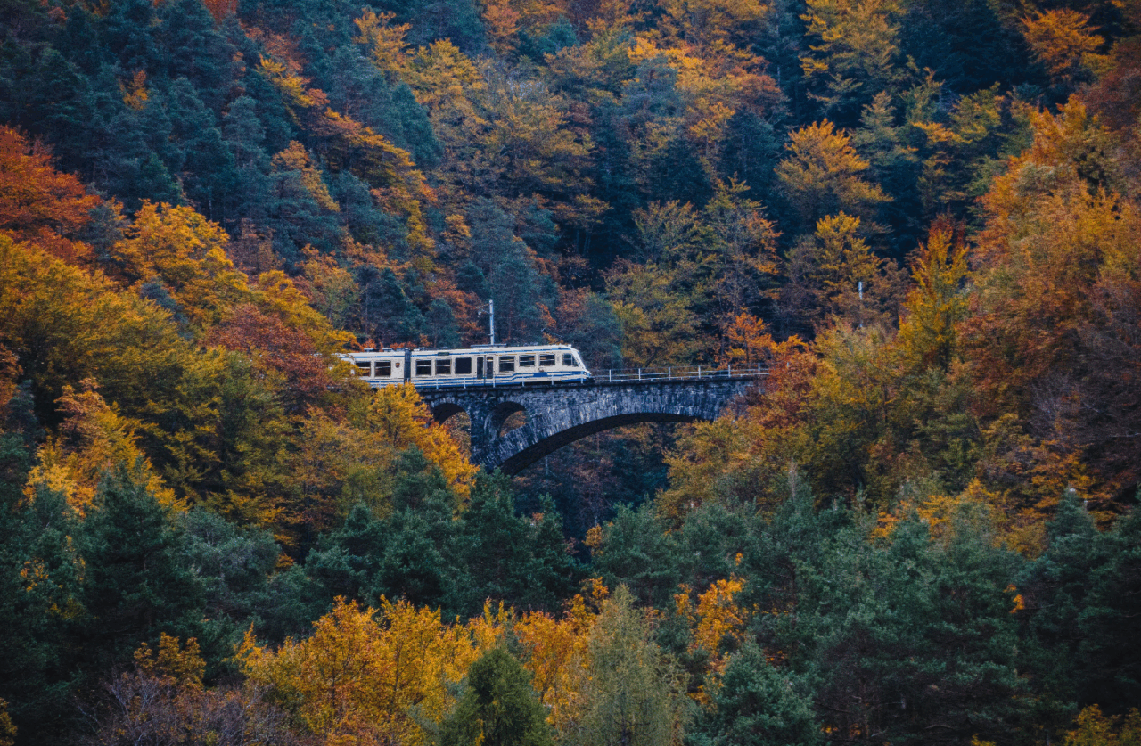 Il treno del foliage sulla Vigezzina-Centovalli nelle classifiche del The New York Times