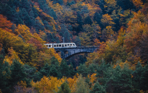 Il treno del foliage sulla Vigezzina-Centovalli nelle classifiche del The New York Times