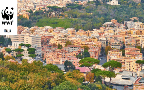 Transizione verde nei capoluoghi del Nordovest a che punto è la situazione?