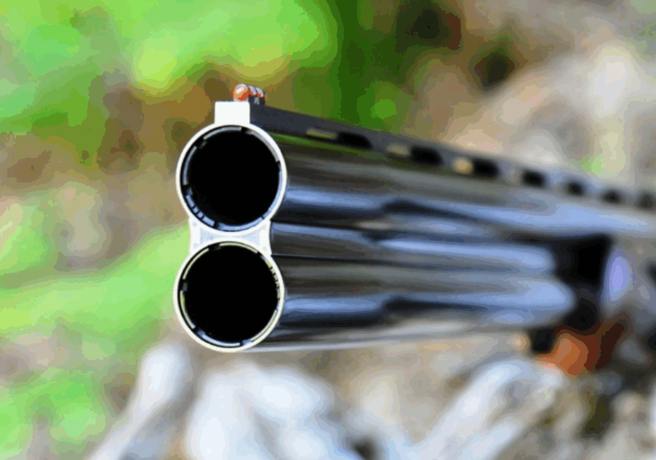 Caccia sui valichi montani in Lombardia via libera alla modifica della legge regionale