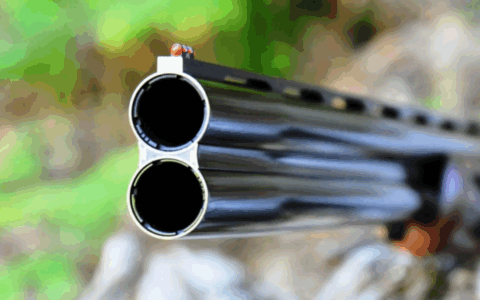 Caccia sui valichi montani in Lombardia via libera alla modifica della legge regionale