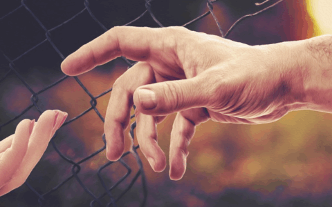 Quasi la metà delle istituzioni non profit è presente nel Nord Italia