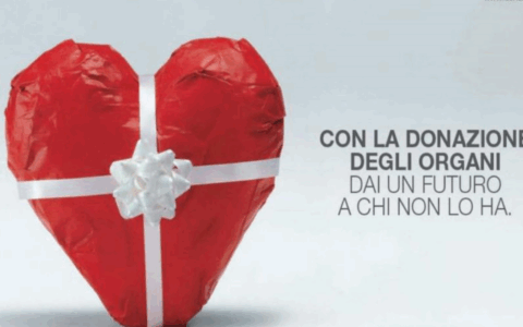 Trapianti record di interventi a Torino al lavoro per aumentare il numero di donatori