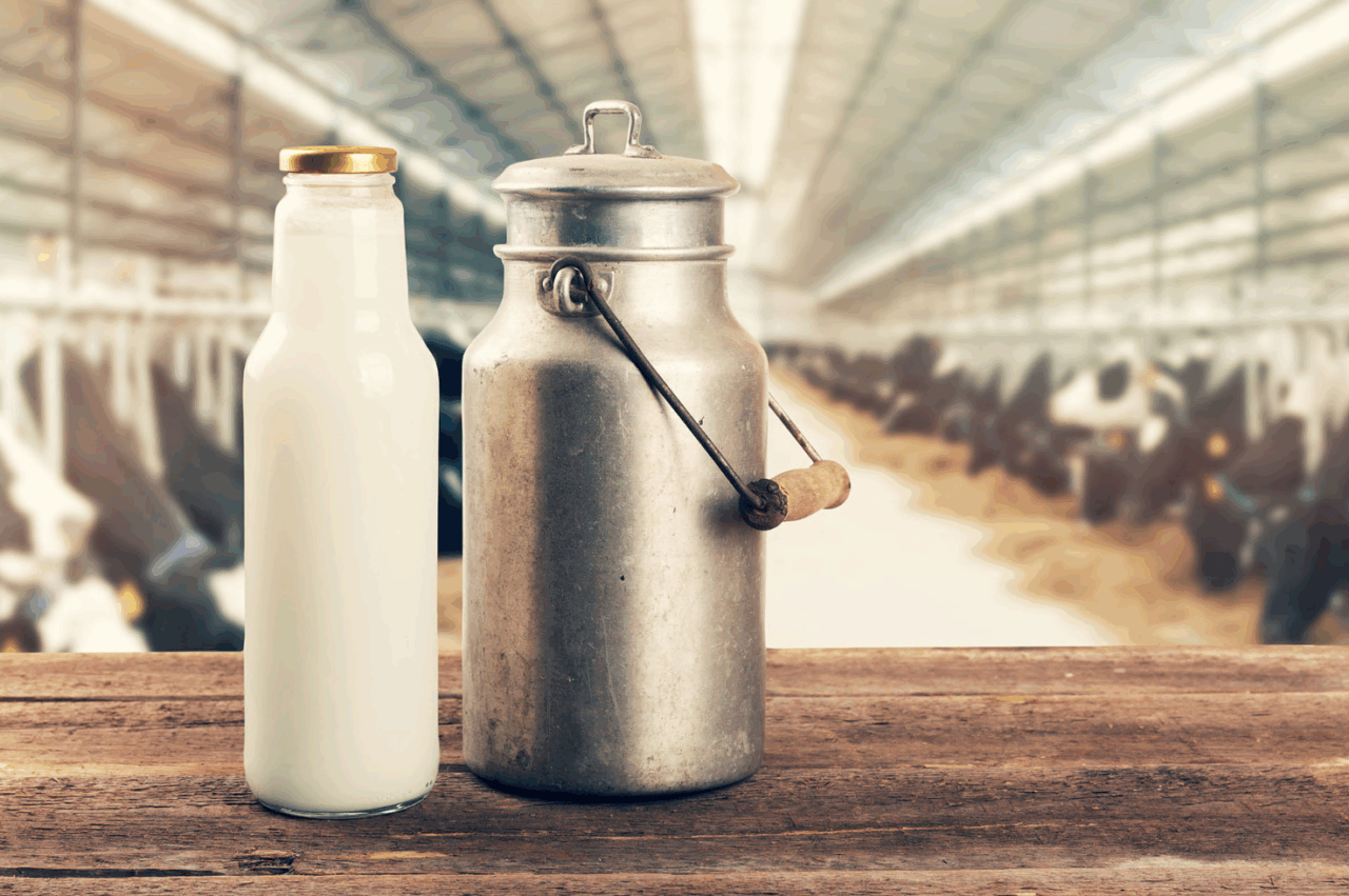 Gli ultimi sono stati mesi difficili per il comparto lattiero caseario
