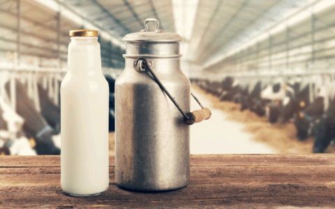 Gli ultimi sono stati mesi difficili per il comparto lattiero caseario