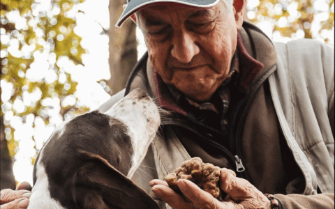 “Vi svelo i segreti del tartufo”: l’intervista al trifolaio cuneese Ezio Costa
