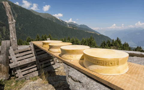 La Dop economy nel 2024 è record nelle regioni del Nordovest