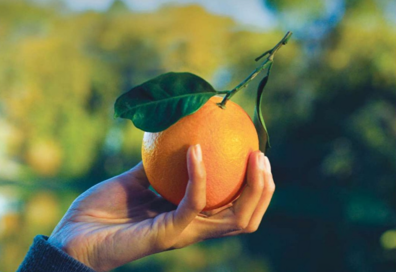 Arance rosse per la ricerca da Bennet l’aiuto per promuovere la prevenzione di Fondazione Airc