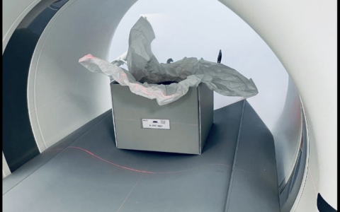 Le mummie dell’Antico Egitto fanno la TAC a Torino