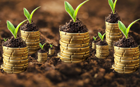 Il 40% delle società benefit in Italia è nelle regioni del Nordovest