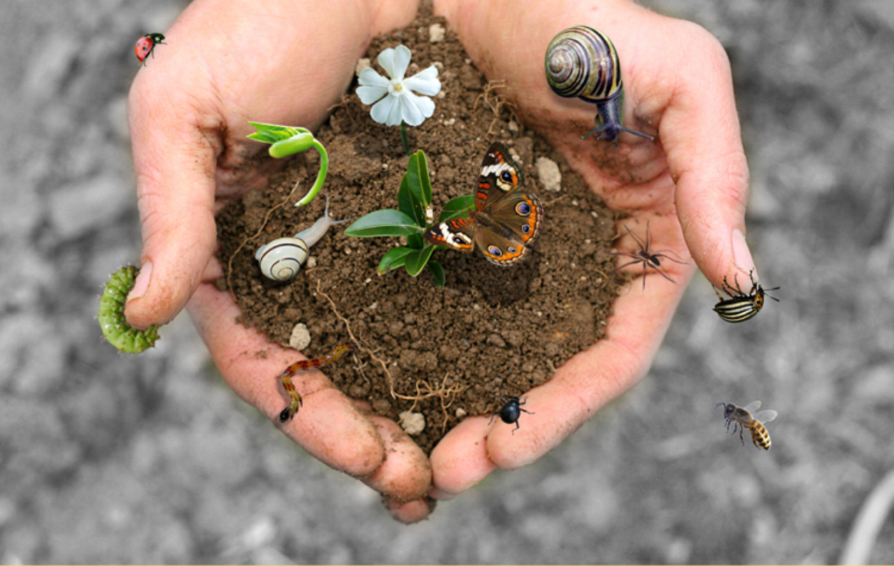 Biodiversità: la sfida del futuro