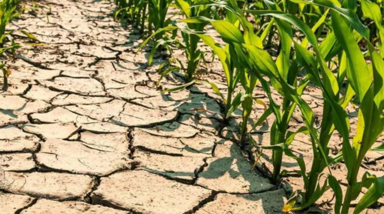 I laghi e i fiumi del Nordovest non sono mai stati così asciutti