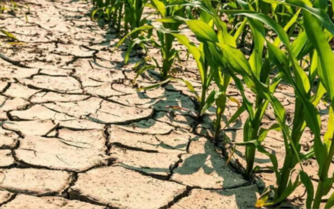 I laghi e i fiumi del Nordovest non sono mai stati così asciutti