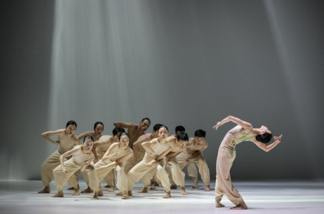 Torinodanza Festival conferma la sua vocazione internazionale