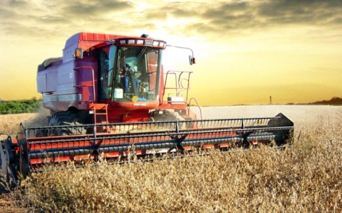 Agricoltura nel Nordovest aziende più grandi, innovative e orientate al mercato