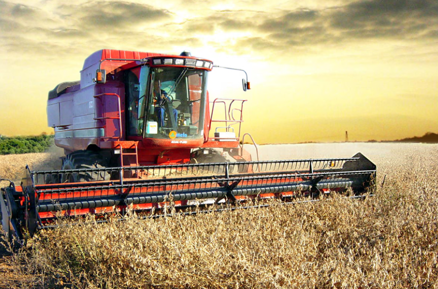 Agricoltura nel Nordovest aziende più grandi, innovative e orientate al mercato