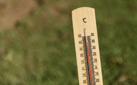 Un caldo mai registrato e molto devastante