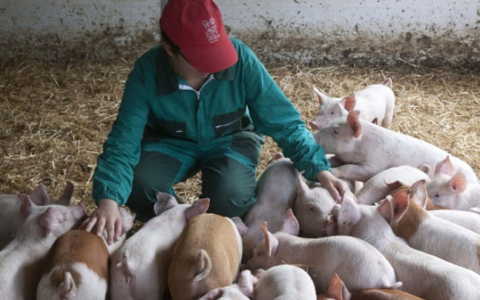 L’agricoltura del Nordovest cambia pelle