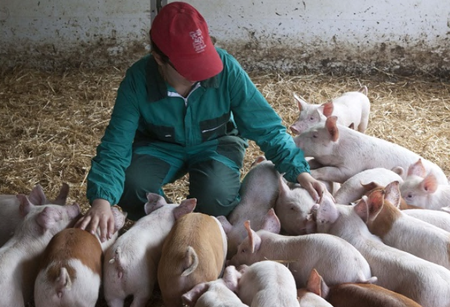 L’agricoltura del Nordovest cambia pelle